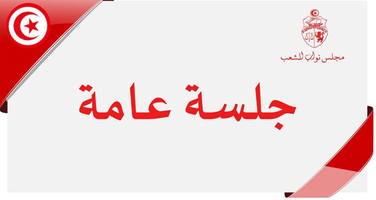جلسة عامة