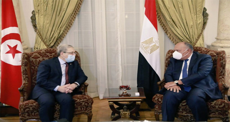 عثمان الجرندي وسامح شكري