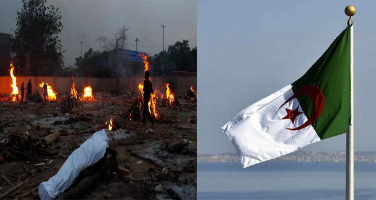 كورونا الهندية الجزائر