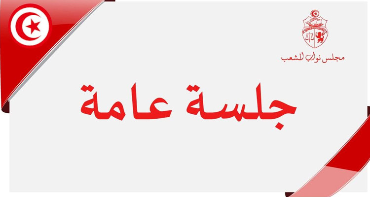 جلسة عامة