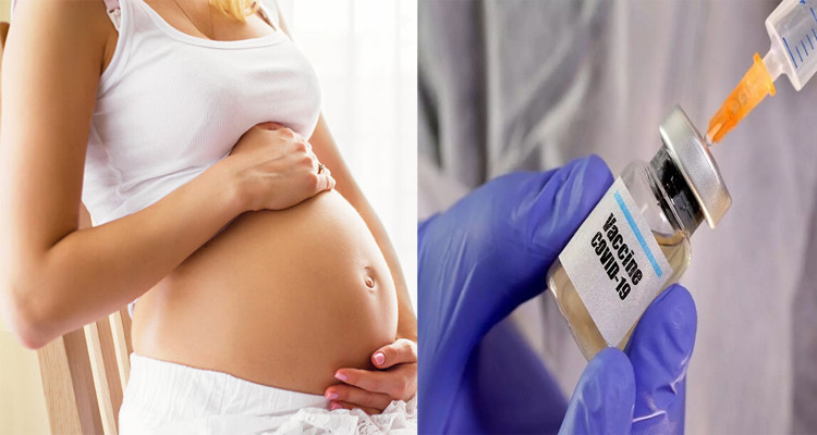 تلقيح المرأة الحامل