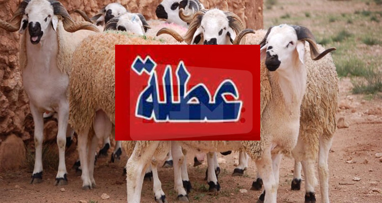 عطلة بيومين بمناسبة عيد الأضحى