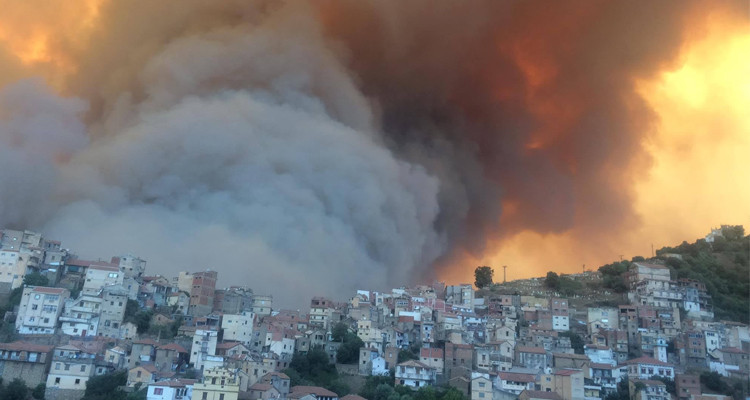 حرائق الجزائر
