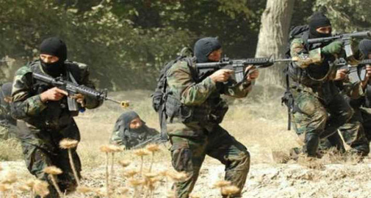 الجيش التونسي