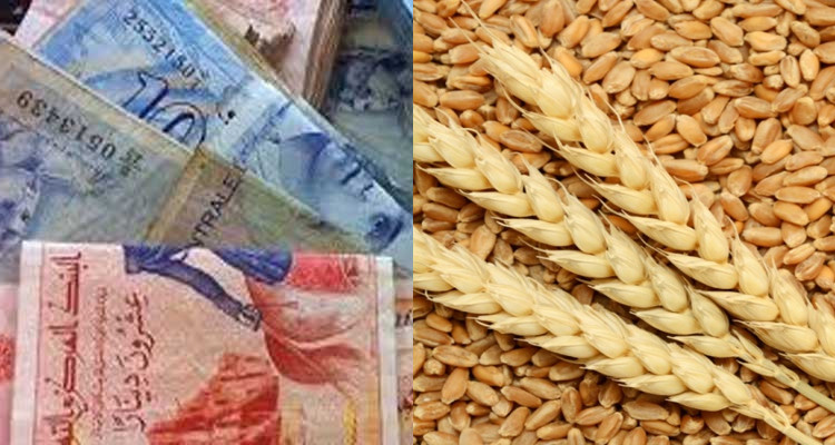 الترفيع في اسعار الحبوب