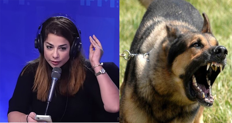 رابعة السافي تحذر من قتل الكلاب السائبة