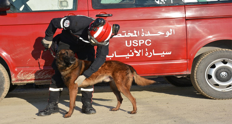 الحماية المدنية