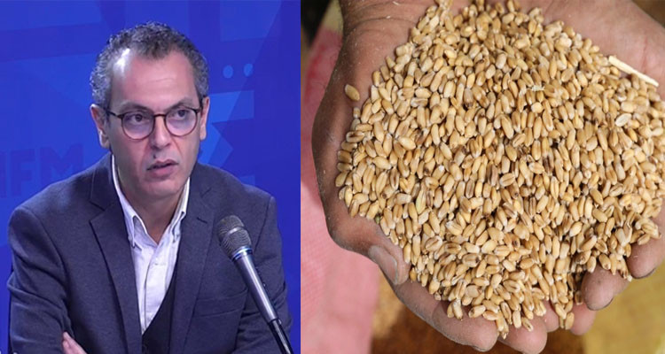 الخبير الاقتصادي حسام الدين الشابي يتحدث عن استيراد الحبوب من أوكرانيا