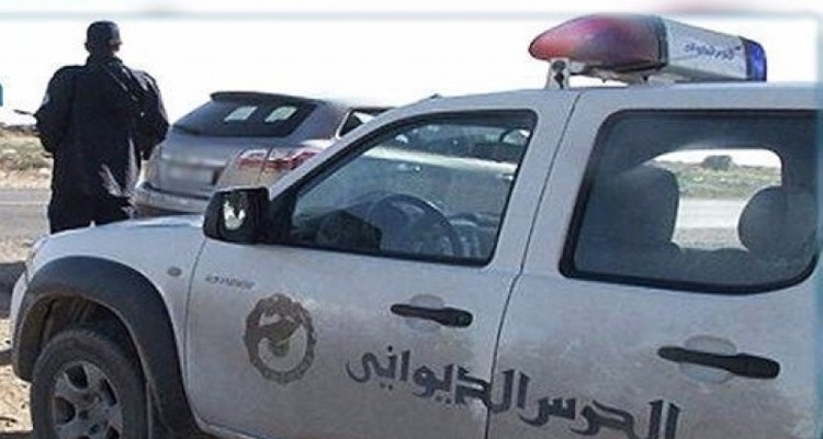 ديوانة