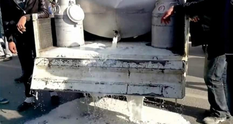 المهدية: مربو الماشية يسكبون الحليب أمام مقر الولاية