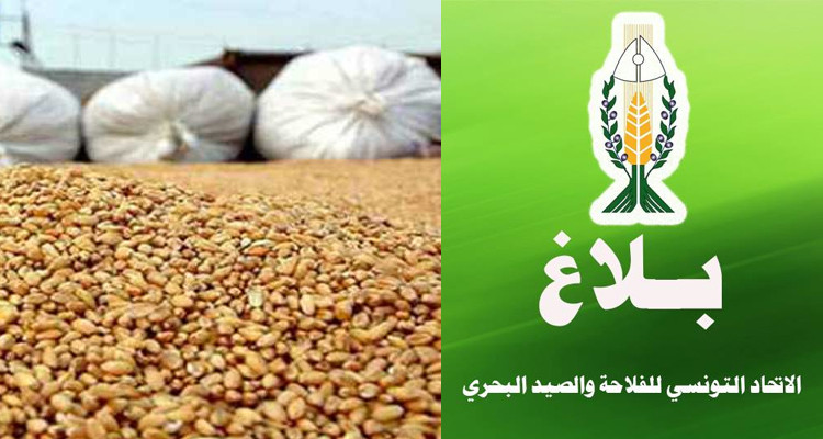 اسعار الاعلاف اتحاد الفلاحة