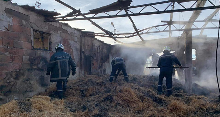 باجة: إخماد حريق أتى على 300 حزمة علفيّة