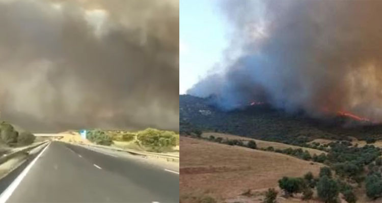 حريق جبل المرة