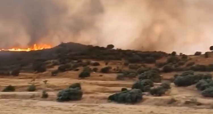 حريق جبل المرة