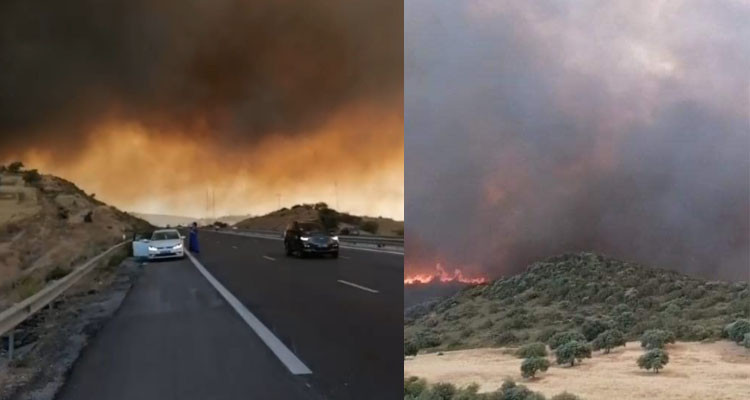 أتى على 156 هكتارا من الأشجار الغابية: صعوبات في إخماد حريق في باجة