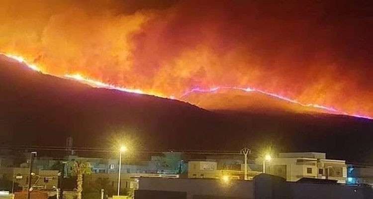 حريق برج السدرية