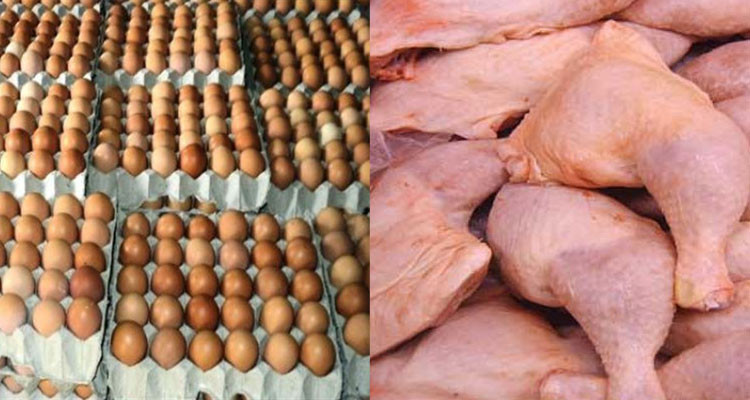 غرفة تجار لحوم الدواجن: رؤوس كبار معروفة تتلاعب بالعرض والطلب