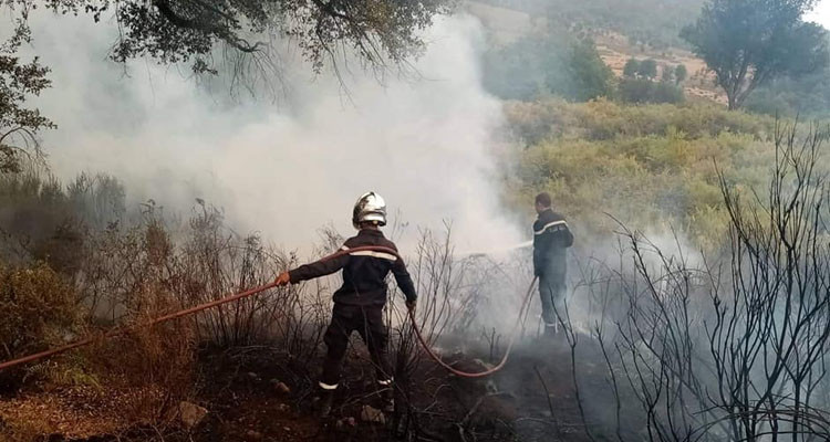 عادل العبيدي: السيطرة نهائيا على الحرائق في جندوبة