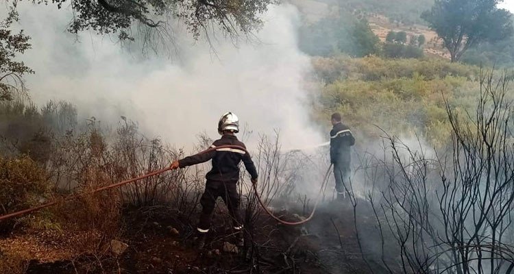 السيطرة على 80% من الحرائق المندلعة في ولاية جندوبة