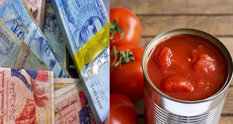 عضو نقابة الفلاحين: الترفيع في سعر الطماطم المعلبة إشاعة هدفها محاولة الترفيع