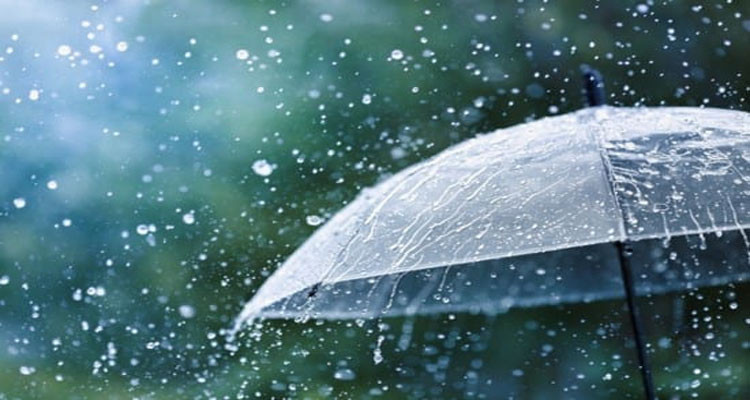 أمطار غزيرة أحيانا في هذه الجهات