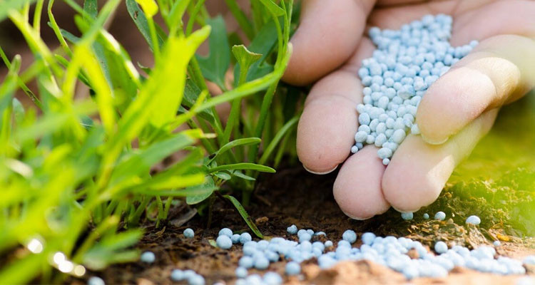 مواصلة العمل بأسعار الاسمدة الكيميائية المعتمدة خلال الموسم الفارط