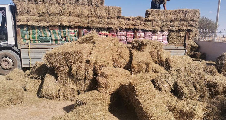 بن قردان: إحباط محاولة تهريب أكثر من 6 أطنان من المواد الغذائية المدعمة