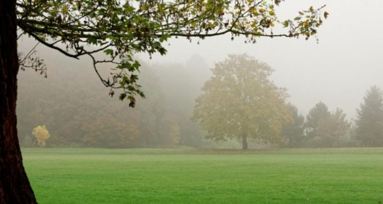 ضباب محلي بالمنخفضات خلال الساعات الأولى من نهار اليوم