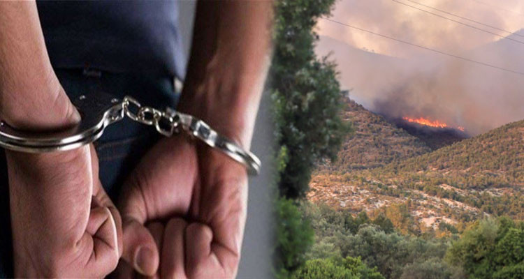 طبرقة: القبض على شخص أصيل الجهة بصدد إضرام النار في غابة جبلية