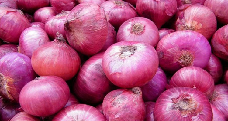 المنستير: حجز 80 طنا من البصل الجاف بأحد مخازن التبريد