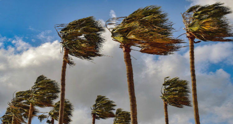 رياح قوية: الرصد الجوي يدعو إلى اليقظة