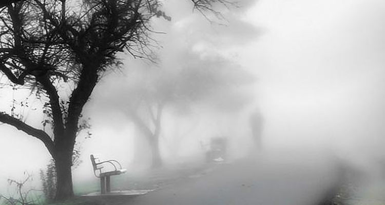 ضباب كثيف مع انطلاق نهار اليوم