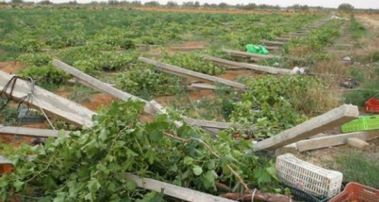 آخر أجل للانخراط في صندوق تعويض الأضرار الفلاحية الناجمة عن الجوائح الطبيعية