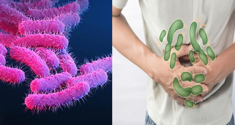 توصيات من وزارة الصحة للوقاية من الشيغيلا