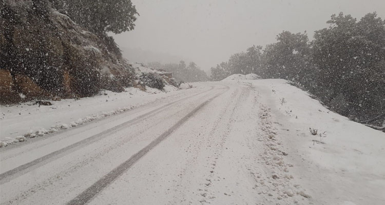 استمرار برودة الطقس بالشمال مع أمطار