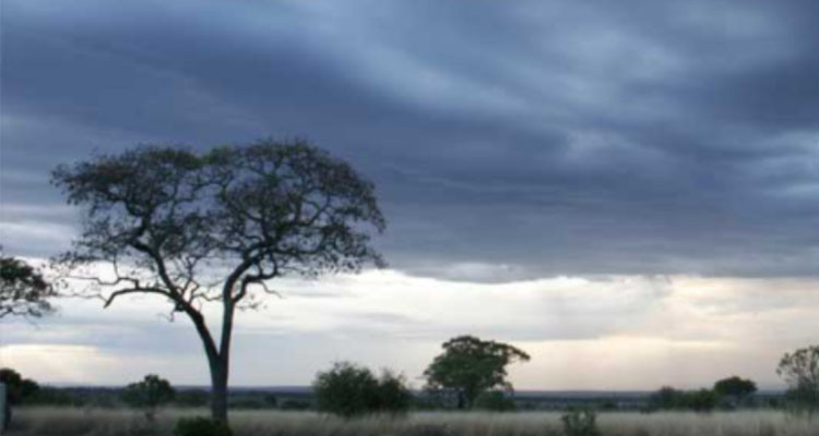 إمكانية مشاهدة الـ 4 فصول في يوم واحد: دخول فترة العزارة