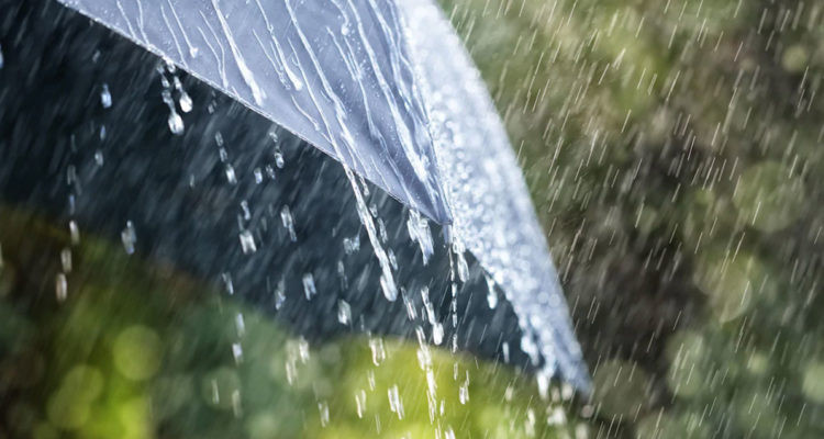 انخفاض في درجات الحرارة وأمطار رعدية في هذه الجهات