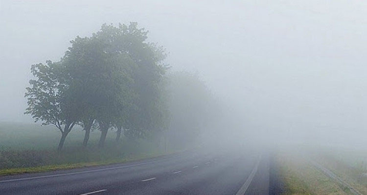 ضباب كثيف في هذه المناطق