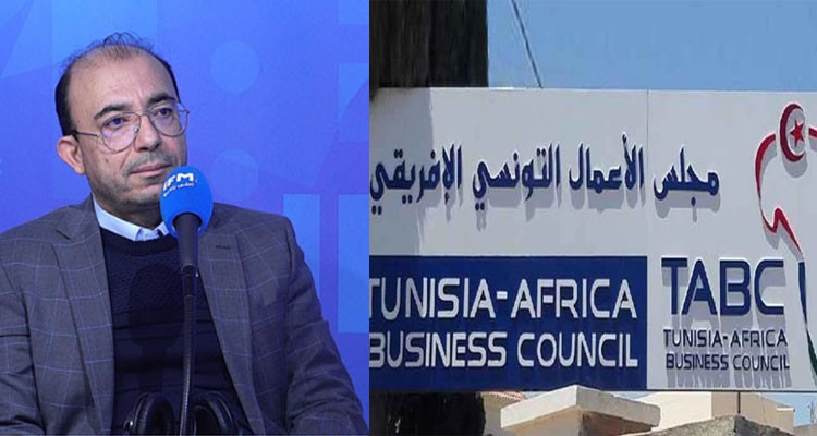 أنيس الجزيري: تونسيون في دول افريقية جنوب الصحراء تعرضوا إلى تهديدات