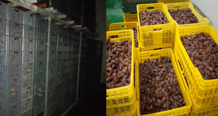 قيمتها 540 مليون: حجز 45 طنا من مادة التمور داخل مخزن تبريد ببن عروس