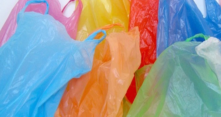 وزيرة البيئة: استعددنا لموسم الصيف وسيتم منع الأكياس البلاستيكية في جميع القطاعات