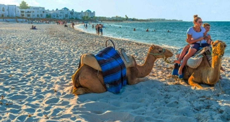 بعد العملية الغادرة بجربة: رئيس جامعة النزل بمدنين يطمئن بخصوص الموسم السياحي