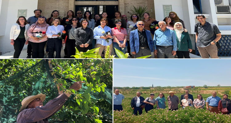 خبراء مياه أمريكيين في زيارة إلى تونس لدراسة كيفية زيادة إعادة تدوير المياه