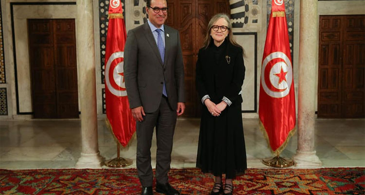 رئيسة الحكومة تستقبل الأمين العام للمعهد الدولي للديمقراطية والمساعدة على الانتخابات