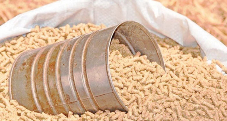 عضو اتحاد الفلاحين: هناك قرار اتخذ لتلافي النقص الموجود في مادة الأعلاف.