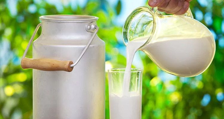 عضو اتحاد الفلاحة: إنتاج الحليب سينخفض بداية من سبتمبر لكن لن تكون هناك أزمة