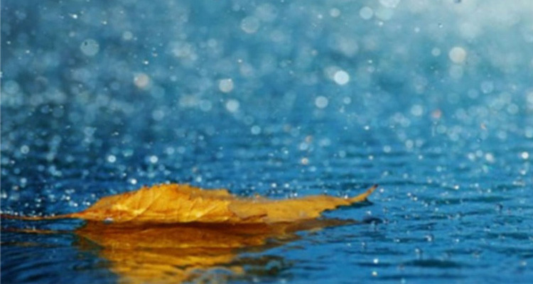 أمطار في هذه الجهات تزامنا مع دخول فصل الخريف