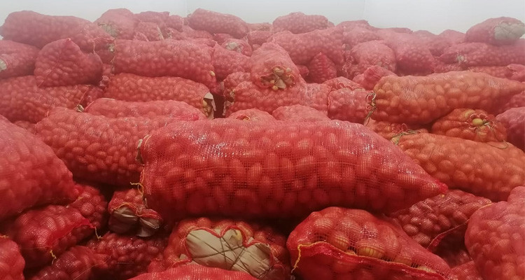 قابس وجندوبة: حجز كميات هامة من البطاطا مخفية بنية الاحتكار والمضاربة