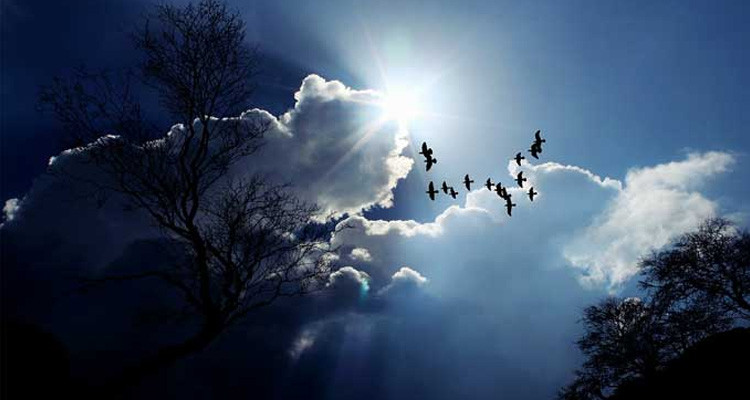 الحرارة تتراوح بين 20 و25 درجة الليلة