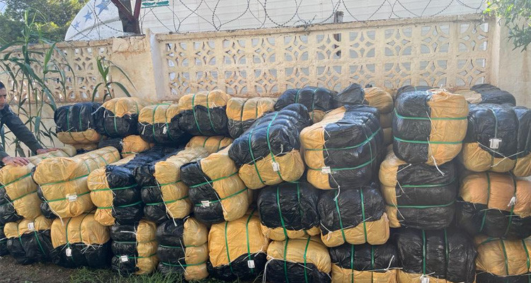 إحباط 08 عمليات تهريب وحجز بضاعة بقيمة 444 مليون